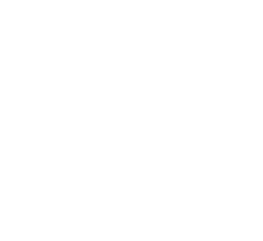 RAI Logo