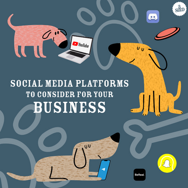 Social Media Platforms to Consider for your Business